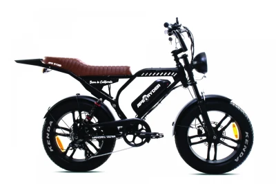 Capriolo Elektrokolo APE RYDER MANDRIL ULTRA 2025 černá