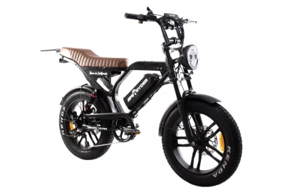 Capriolo Elektrokolo APE RYDER MANDRIL ULTRA 2025 černá