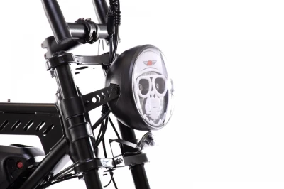 Capriolo Elektrokolo APE RYDER MANDRIL ULTRA 2025 černá