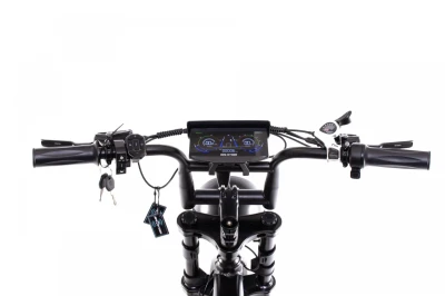 Capriolo Elektrokolo APE RYDER MANDRIL ULTRA 2025 černá