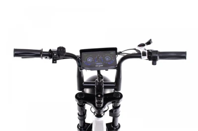 Capriolo APE RYDER MANDRILL ULTRA 2025 šedé elektrokolo