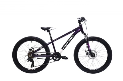 Capriolo Horské jízdní kolo MTB LC 24"/AL FIALOVO-MODRÝ