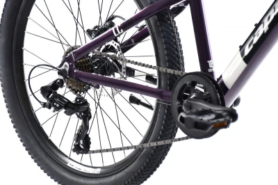 Capriolo Horské jízdní kolo MTB LC 24[34]/AL FIALOVO-MODRÝ