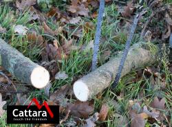 Cattara Pila řetězová ruční 100cm