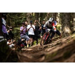 Crankbrothers Stamp Trail BOA Black/Gold + sleva 400,- na příslušenství