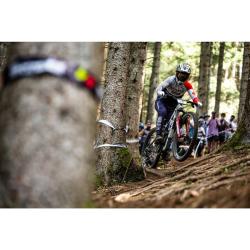 Crankbrothers Stamp Trail BOA Black/Gold + sleva 400,- na příslušenství