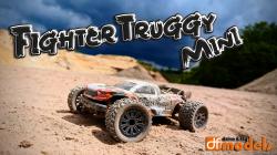 DF models RC auto RC auto FighterTruggy Mini 1:16 4WD RTR