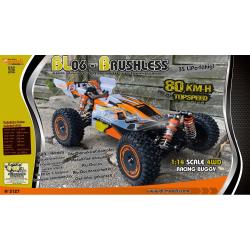 DF models RC auto RC buggy BL06- Brusshless 1:14 + sleva 400,- na příslušenství