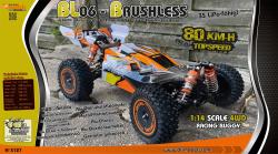 DF models RC auto RC buggy BL06- Brusshless 1:14 + sleva 400,- na příslušenství