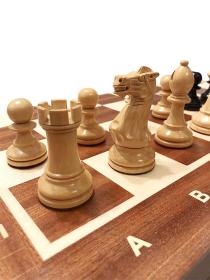 DGT Šachy Staunton Queen Lady Judit Polgár s intarzovanou šachovnicou