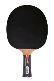Donic Pálka na stolní tenis Schildkröt Top Teams 900