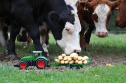 Double Eagle Traktor na dálkové ovládání 1:16 2.4GHz