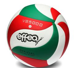 Effea Míč volejbalový 6835