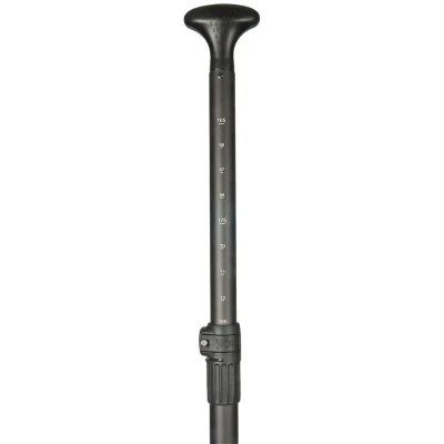 ENERO 145 kg NEPTUN WOODEN 320x76x15 cm paddleboard set