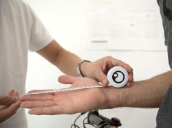 ERGON Fitting Box Road/gra