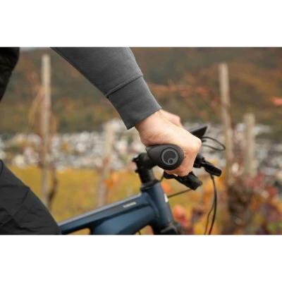 Ergon Gt1 -s Gripy