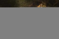 Force GOLD černý pánský cyklodres - dlouhý rukáv