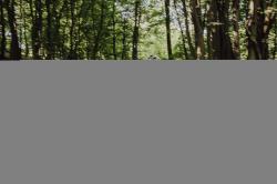 Force MTB MOUNT LADY modrý dámsky dres - kr. rukáv