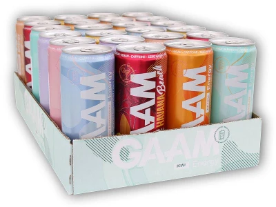 GAAM Energetický Nápoj 24x 330 ml