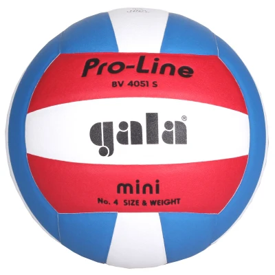 Gala BV4051S Training Mini volejbalový míč