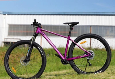 Galaxy Unity 1.0 Fialové horské kolo + sleva 1500,- na příslušenství