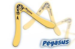 Günther bumerang Pegasus polypropylen