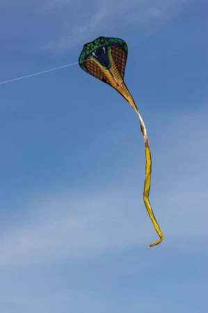 COBRA 3D drak pro děti 69 x 400 cm