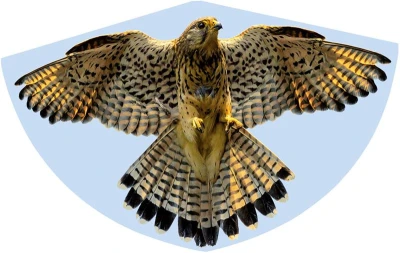 SOKOL - FALKE 92x62 cm