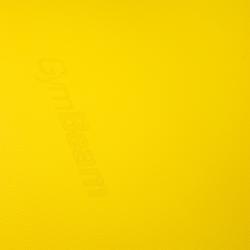 GymBeam Podložka Yoga Mat Dual Grey/Yellow