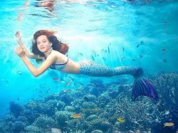 Happy Tails Set morská panna DORIS a monoplutva