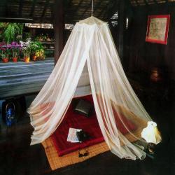 High Colorado Moskytiéra High Colorado