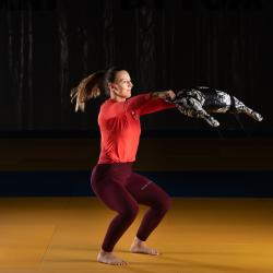 HMS Bulgarian bag WBF15 15 kg