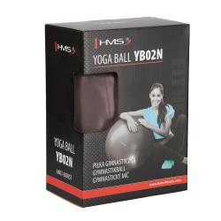 HMS Gymnastický míč YB02N 65 cm bronzový