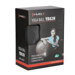 HMS Gymnastický loptu YB02N 65 cm čierna