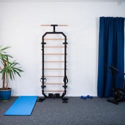 HMS Multifunkční žebřiny DW2708