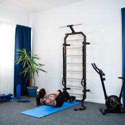 HMS Multifunkční žebřiny DW2708