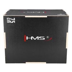 HMS Plyo Box DSC02