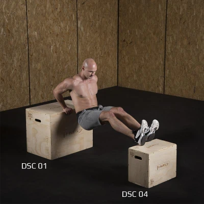 HMS Plyo Box DSC04