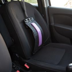 HMS Podložka k protahnování a masáži zad PRP01