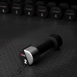 HMS Polyuretanové jednoručky HPT02 2 x 2 kg