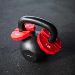 HMS Progresivní přídavné kotouče TSN100 2 x 1 kg