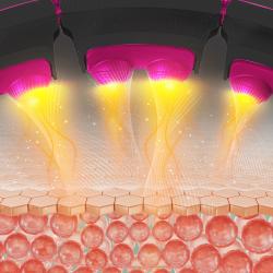 HMS Sada masážní hula hoop HHM16 černá se závažím, magnety a počítadlem a zeštíhlujícího pásu BR163