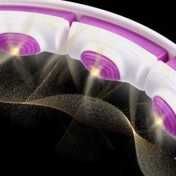 HMS Sada masážní hula hoop se závažím HHM17 a zeštíhlujícího pásu BR163 bílá/fialová