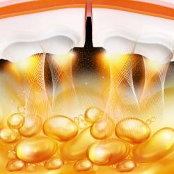 HMS Sada masážny hula hoop so závažím HHM21 a zoštíhľujúceho pásu BR1313 biela/oranžová