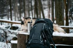 Husky Ranis 70l black batoh expediční