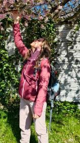 Husky Nickin L pink dámská hardshell bunda