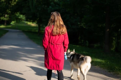 Husky Nevr L lt. grey dámský hardshell kabát