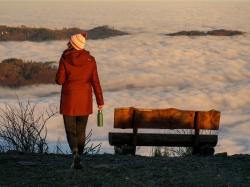 Husky Naveli L dark bordo dámský hardshellový plněný kabát