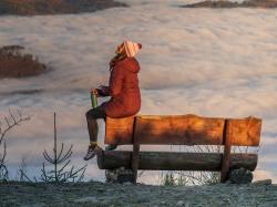 Husky Naveli L dark bordo dámský hardshellový plněný kabát