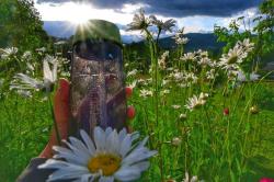 Husky Springler modrá outdoorová láhev